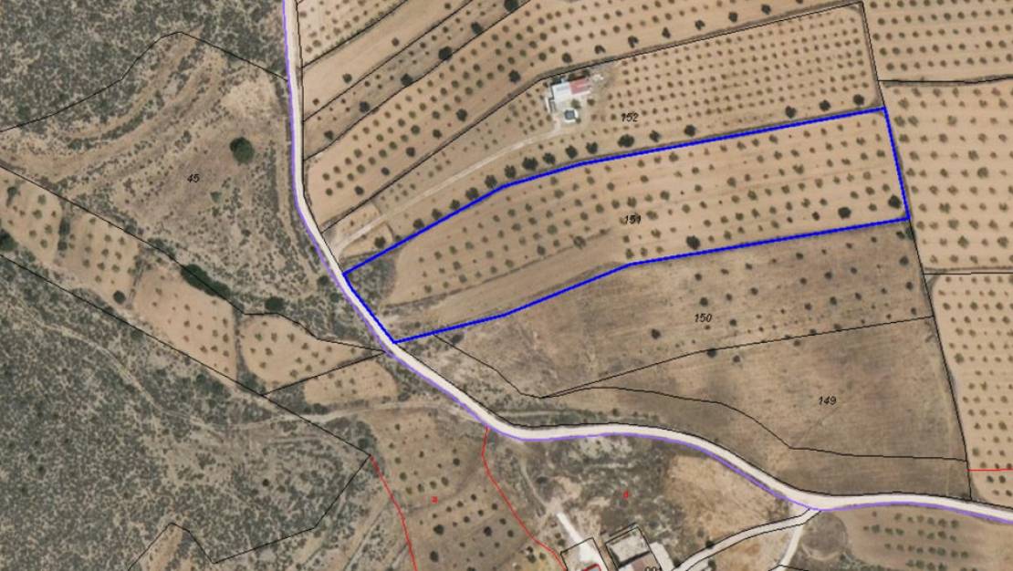 Sale - Land - Pinoso - Pinoso Centro