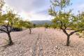 Sale - Land - Pinoso - Pinoso Centro