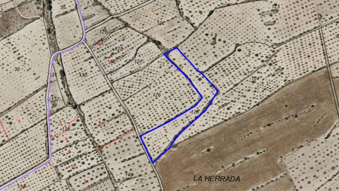 Sale - Land - Pinoso - Pinoso Centro