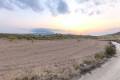 Sale - Land - Pinoso - Pinoso Centro