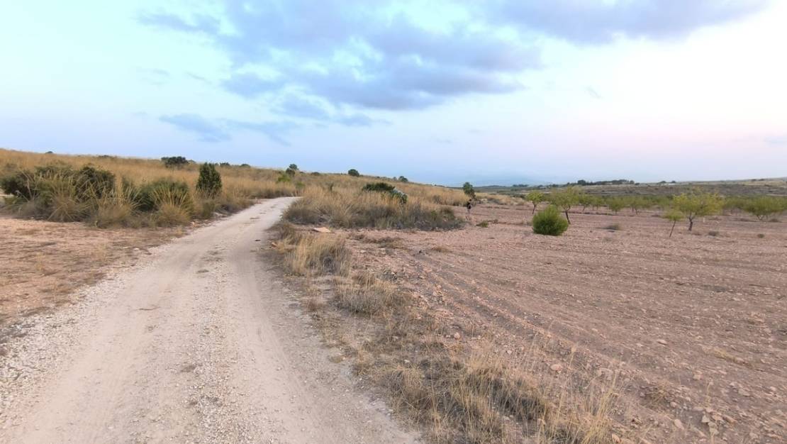Sale - Land - Pinoso - Pinoso Centro