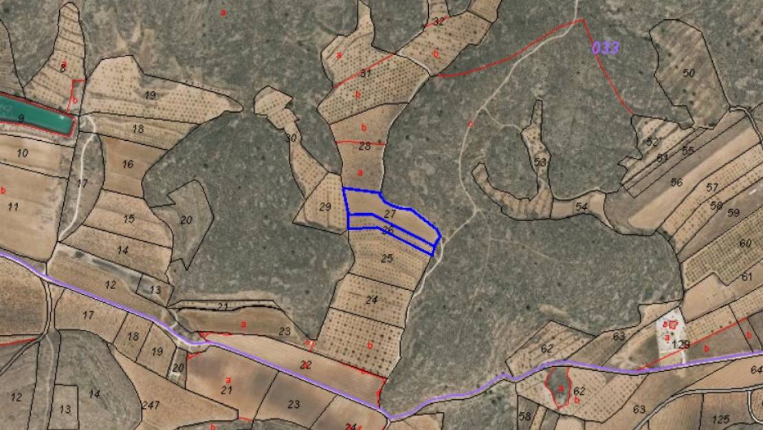 Sale - Land - Pinoso - Pinoso Centro