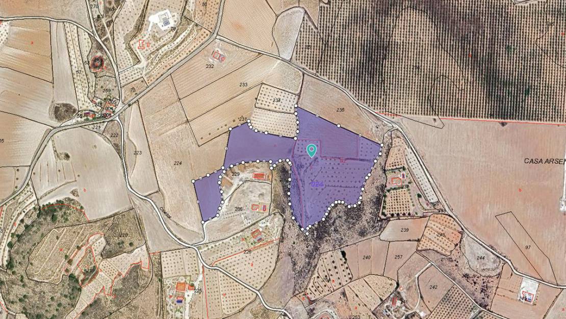 Sale - Land - Pinoso - Pinoso Centro