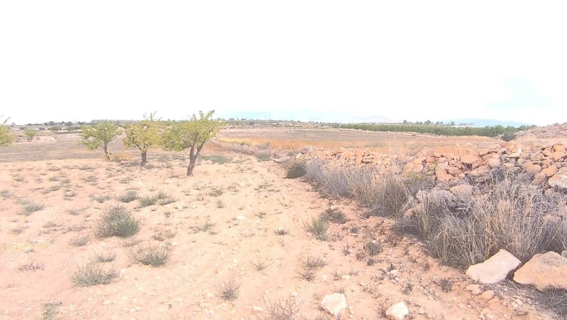 Sale - Land - Pinoso - Pinoso Centro