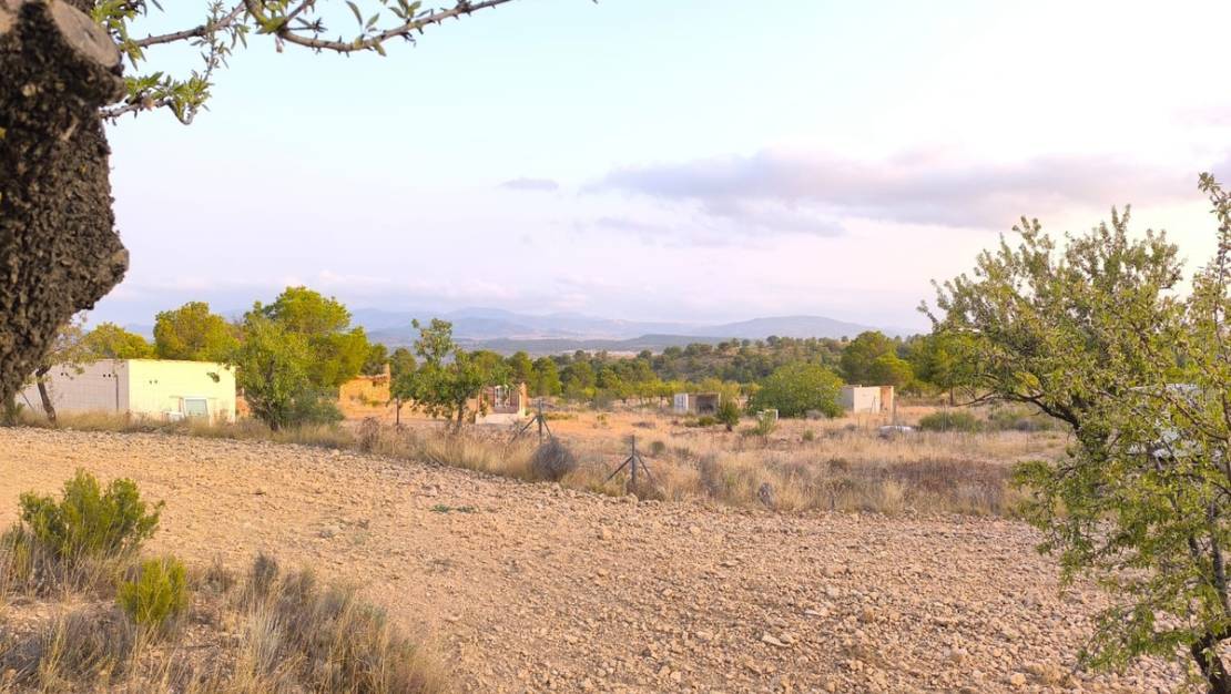 Sale - Land - Pinoso - Pinoso Centro