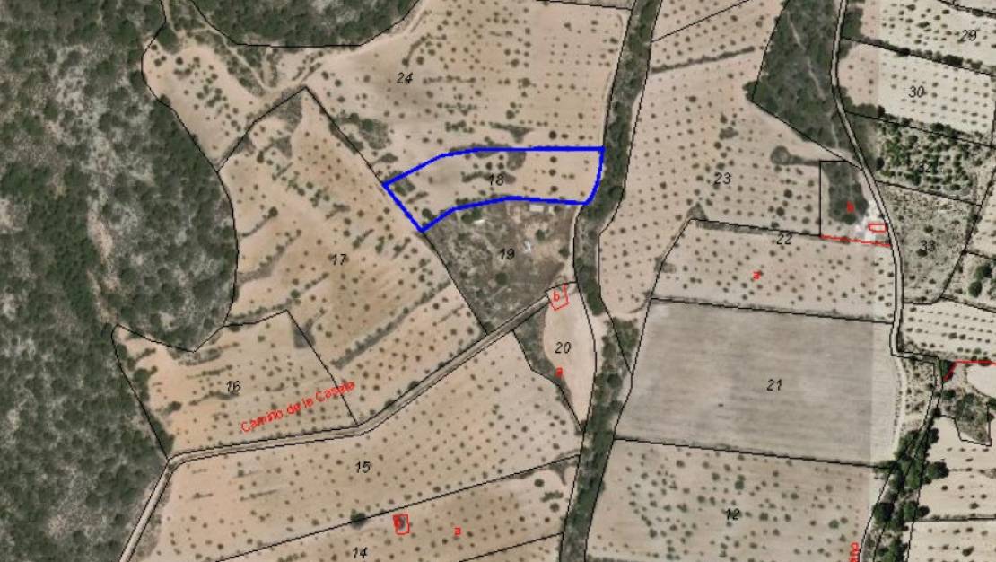 Sale - Land - Pinoso - Pinoso Centro