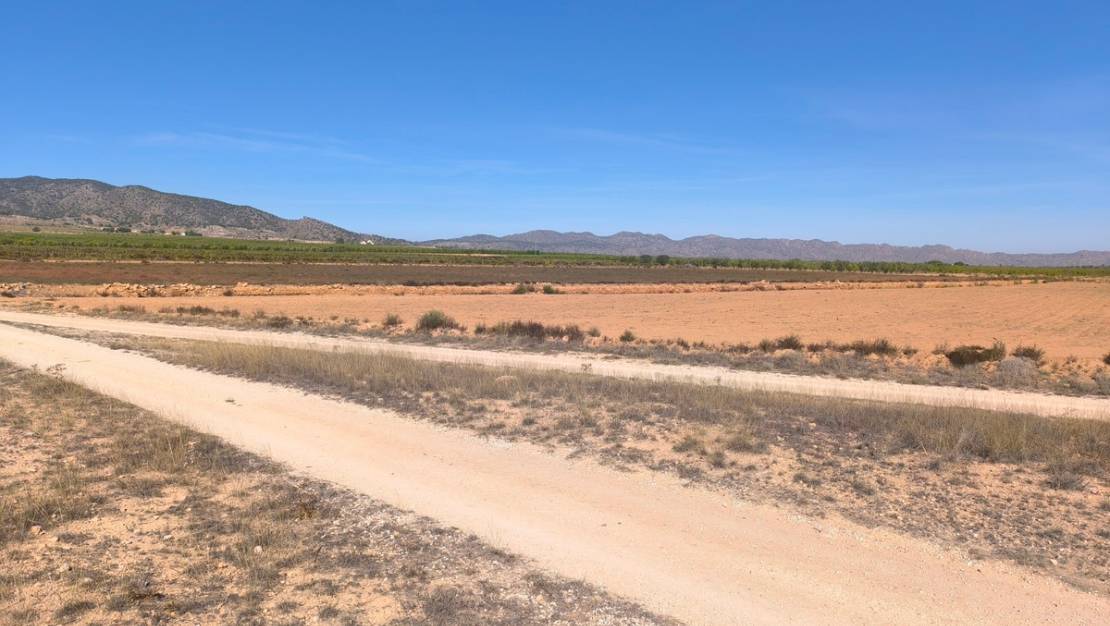 Sale - Land - Pinoso - Pinoso Centro