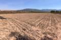 Sale - Land - Pinoso - Pinoso Centro