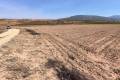 Sale - Land - Pinoso - Pinoso Centro
