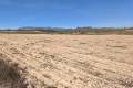 Sale - Land - Pinoso - Pinoso Centro