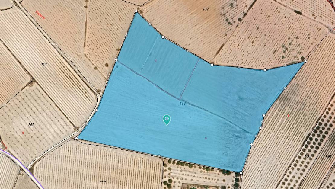 Sale - Land - Pinoso - Pinoso Centro