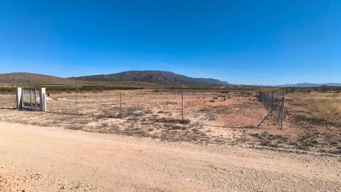 Sale - Land - Pinoso - Pinoso Centro