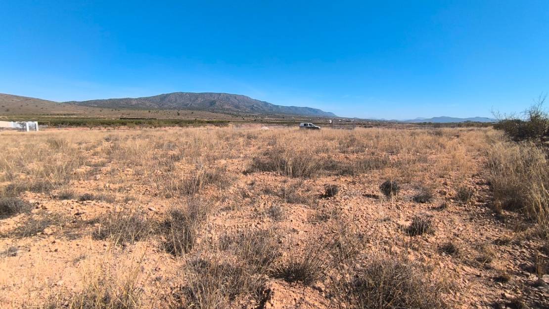 Sale - Land - Pinoso - Pinoso Centro