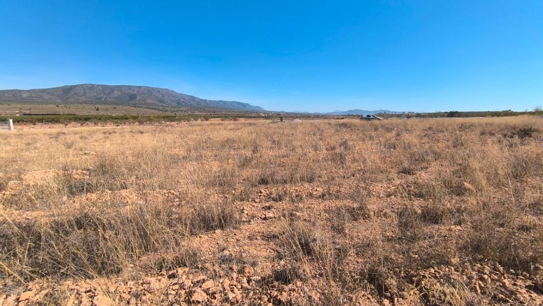 Sale - Land - Pinoso - Pinoso Centro