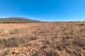 Sale - Land - Pinoso - Pinoso Centro