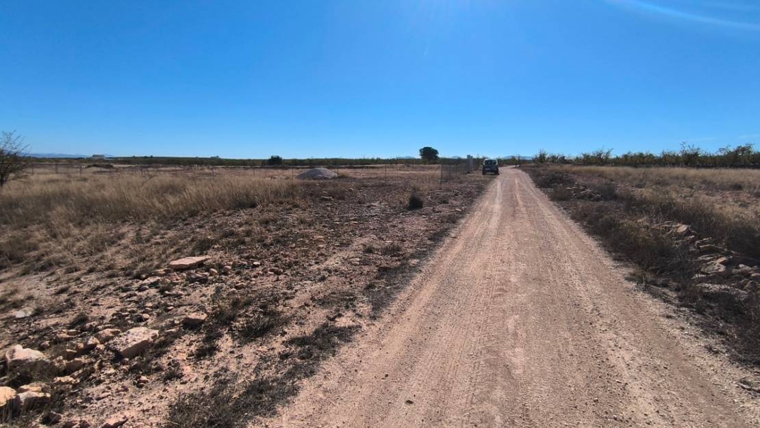 Sale - Land - Pinoso - Pinoso Centro