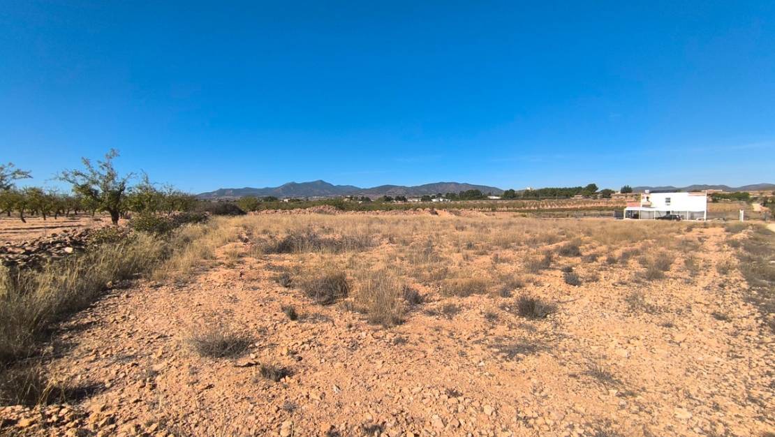 Sale - Land - Pinoso - Pinoso Centro