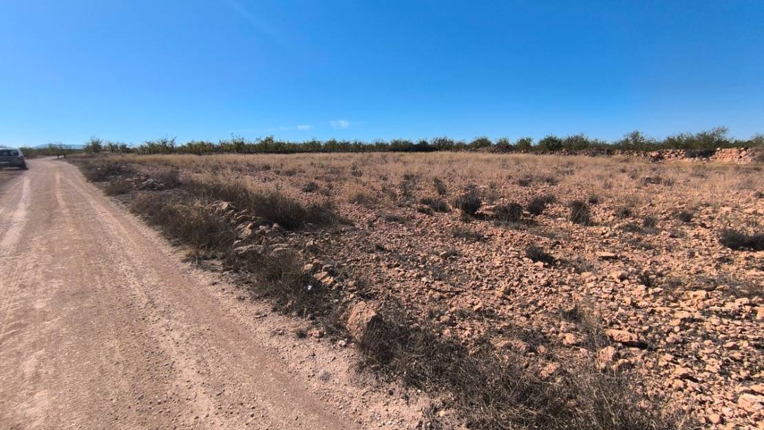 Sale - Land - Pinoso - Pinoso Centro