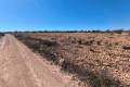 Sale - Land - Pinoso - Pinoso Centro