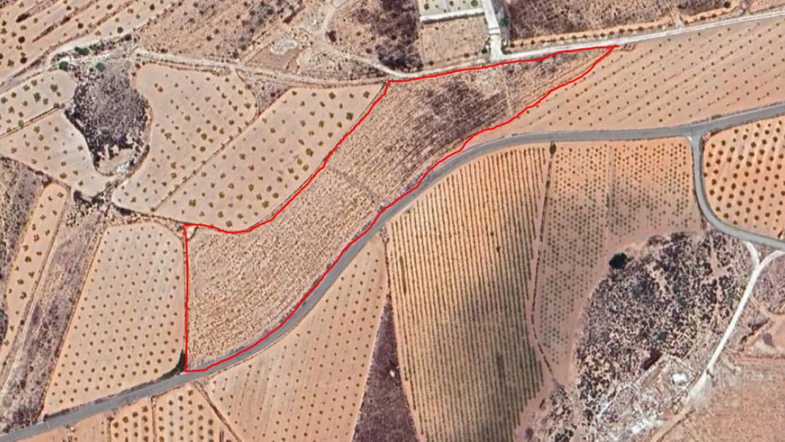 Sale - Land - Pinoso - Pinoso Centro