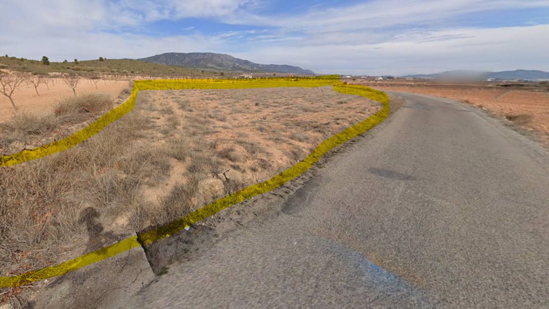 Sale - Land - Pinoso - Pinoso Centro