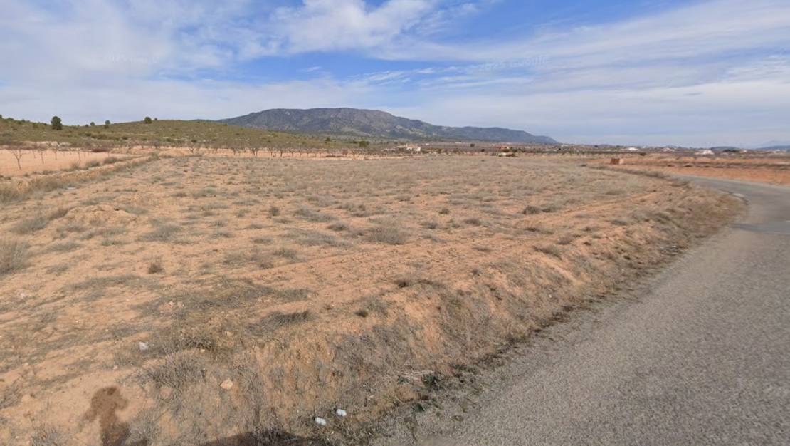 Sale - Land - Pinoso - Pinoso Centro