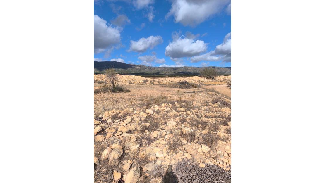 Sale - Land - Pinoso - Pinoso Centro