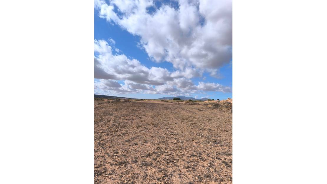 Sale - Land - Pinoso - Pinoso Centro