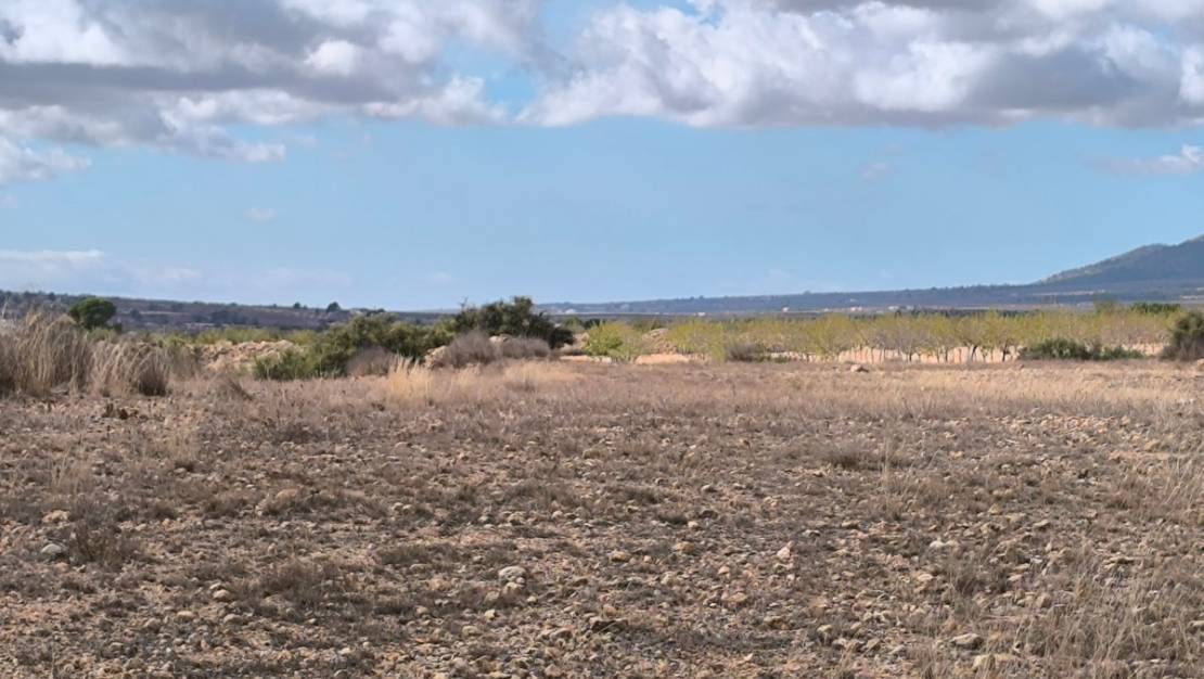 Sale - Land - Pinoso - Pinoso Centro