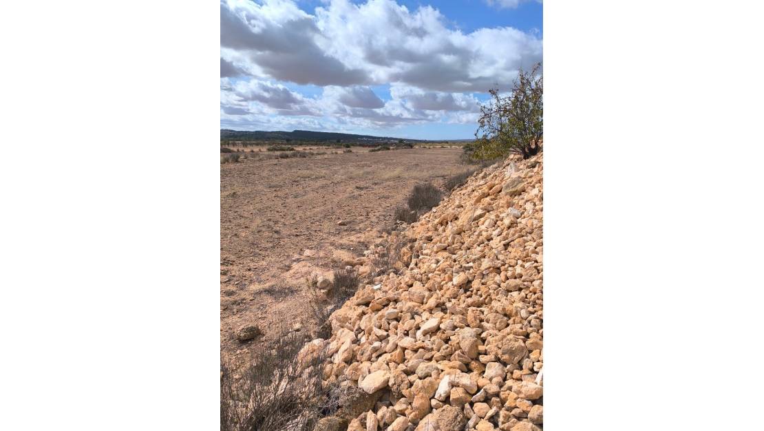 Sale - Land - Pinoso - Pinoso Centro