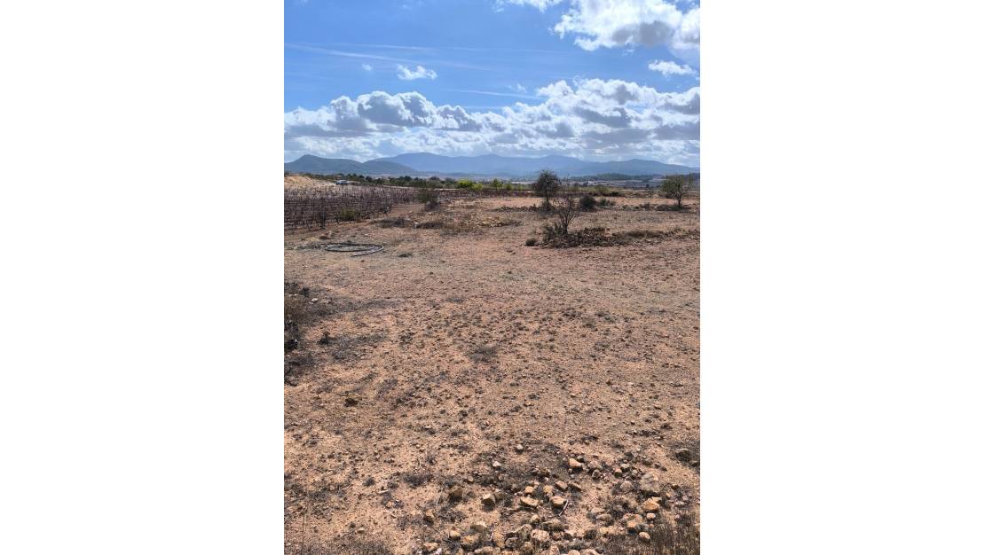 Sale - Land - Pinoso - Pinoso Centro