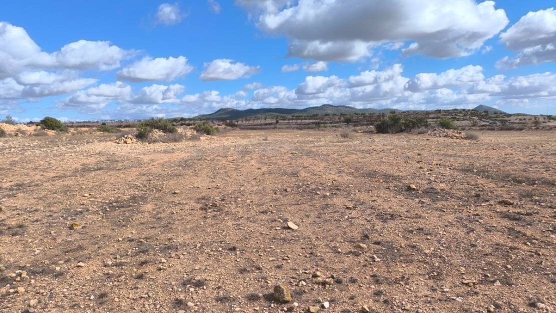 Sale - Land - Pinoso - Pinoso Centro