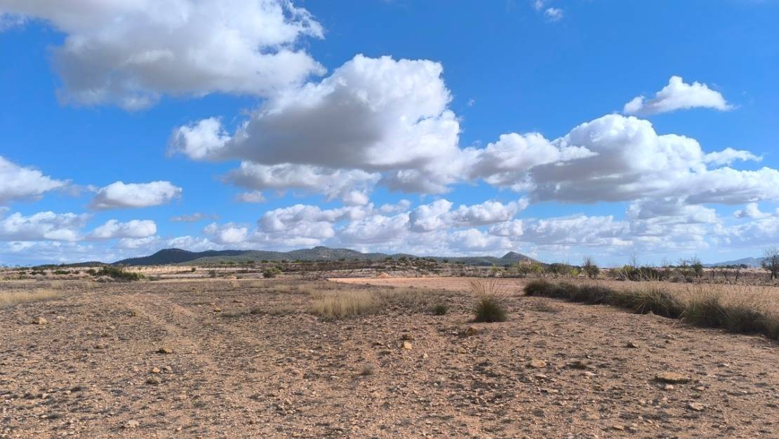 Sale - Land - Pinoso - Pinoso Centro