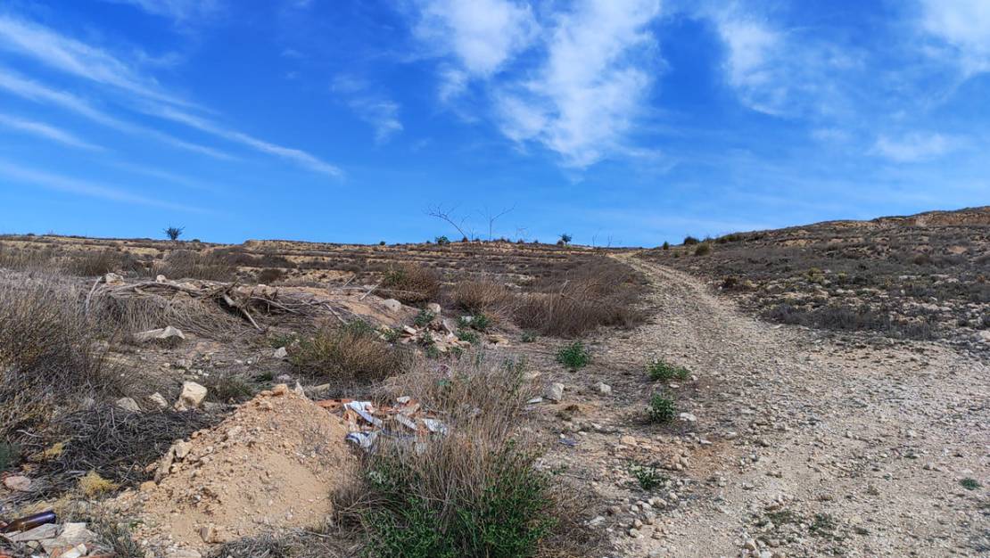 Sale - Land - Pinoso - Pinoso Centro