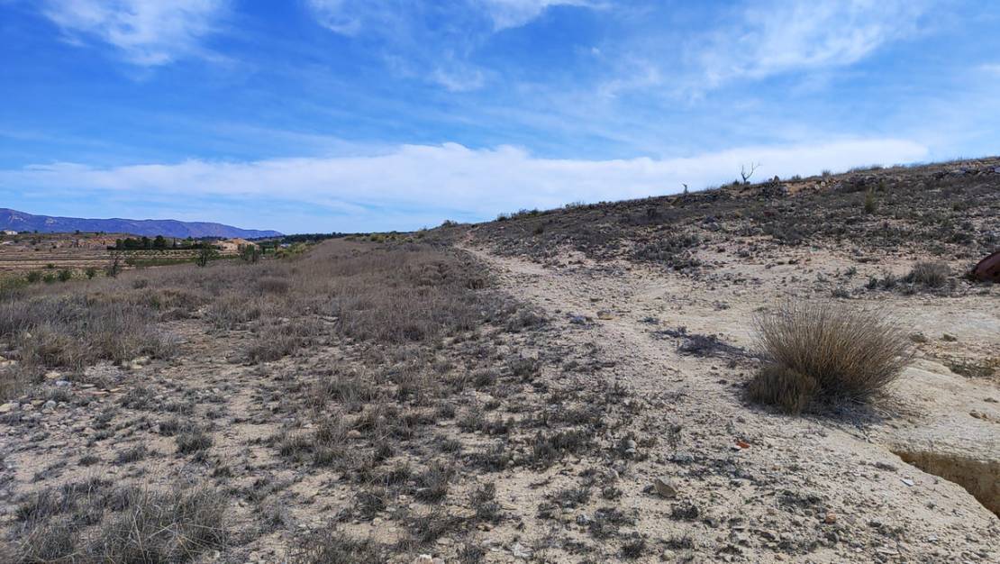 Sale - Land - Pinoso - Pinoso Centro