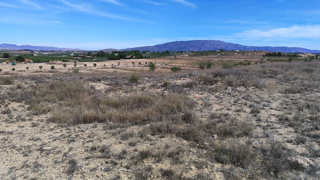 Sale - Land - Pinoso - Pinoso Centro