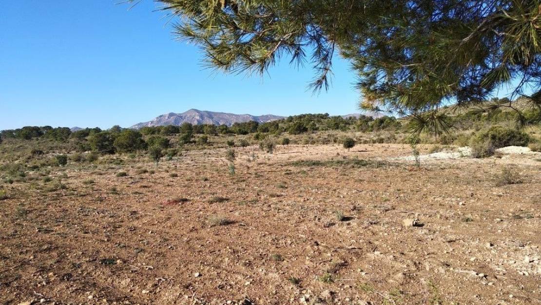 Sale - Land - Relleu - Relleu Centro