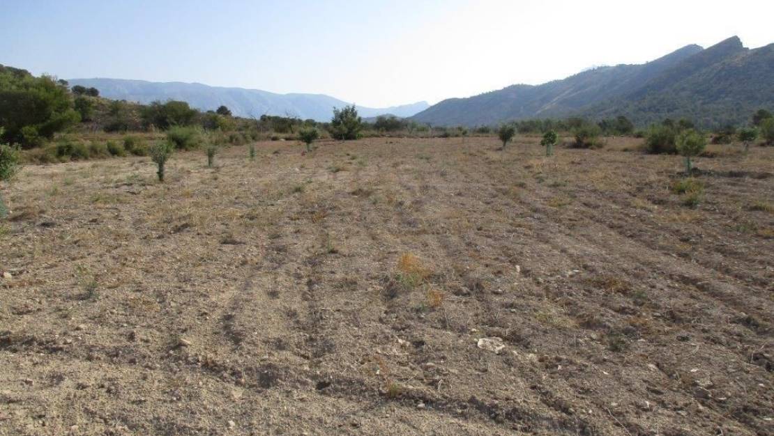 Sale - Land - Relleu - Relleu Centro