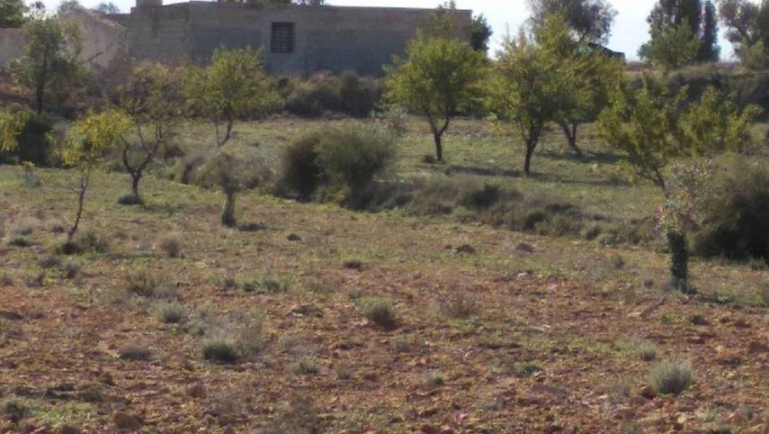 Sale - Land - Relleu - Relleu Centro