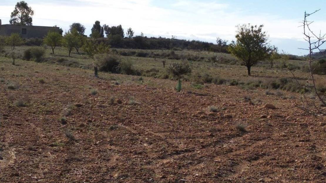 Sale - Land - Relleu - Relleu Centro