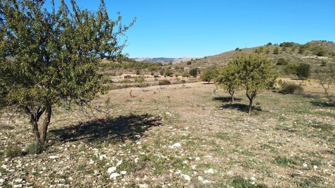 Sale - Land - Relleu - Relleu Centro