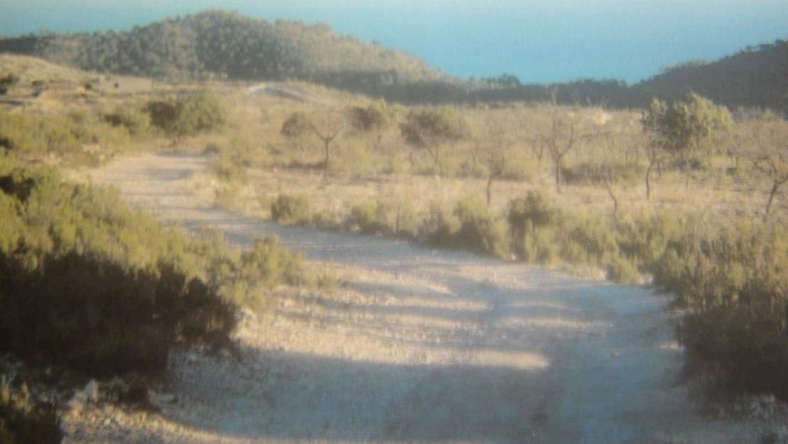 Sale - Land - Relleu - Relleu Centro