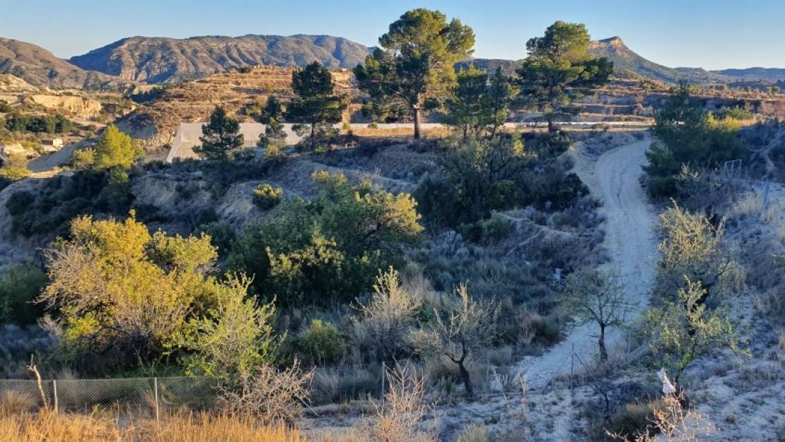 Sale - Land - Relleu - Relleu Centro