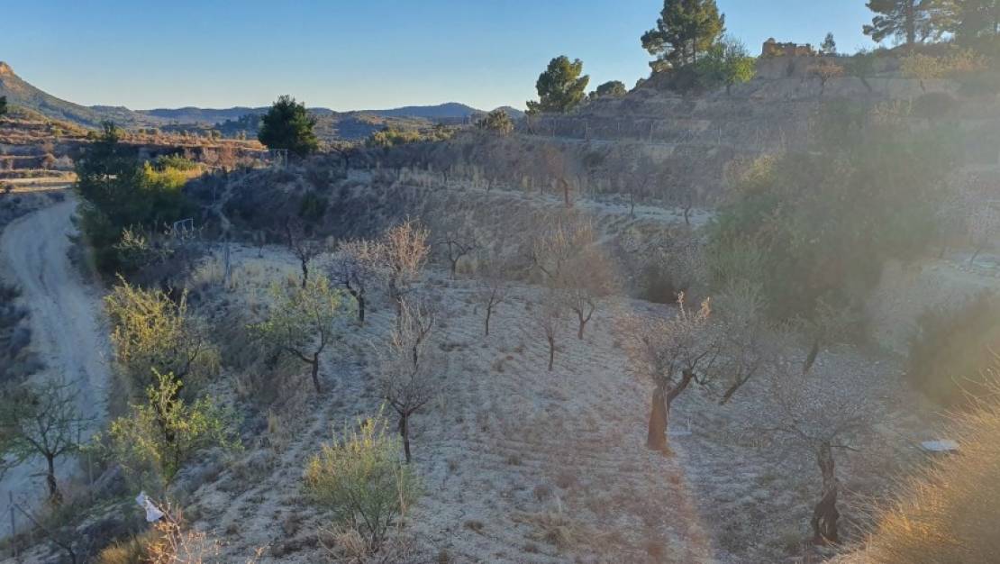 Sale - Land - Relleu - Relleu Centro