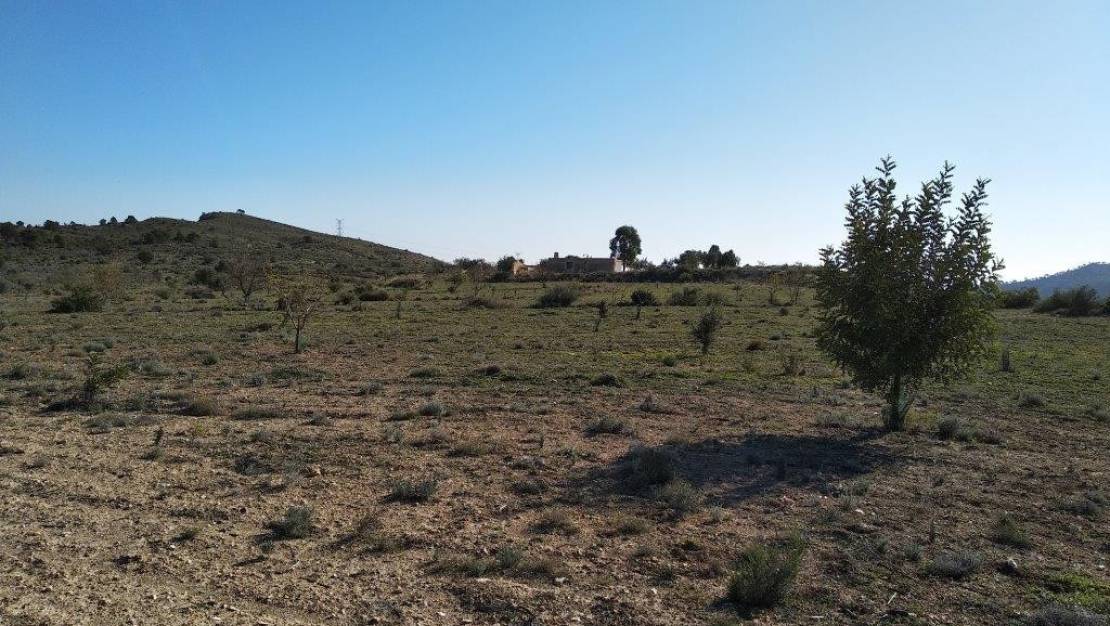 Sale - Land - Relleu - Relleu Centro