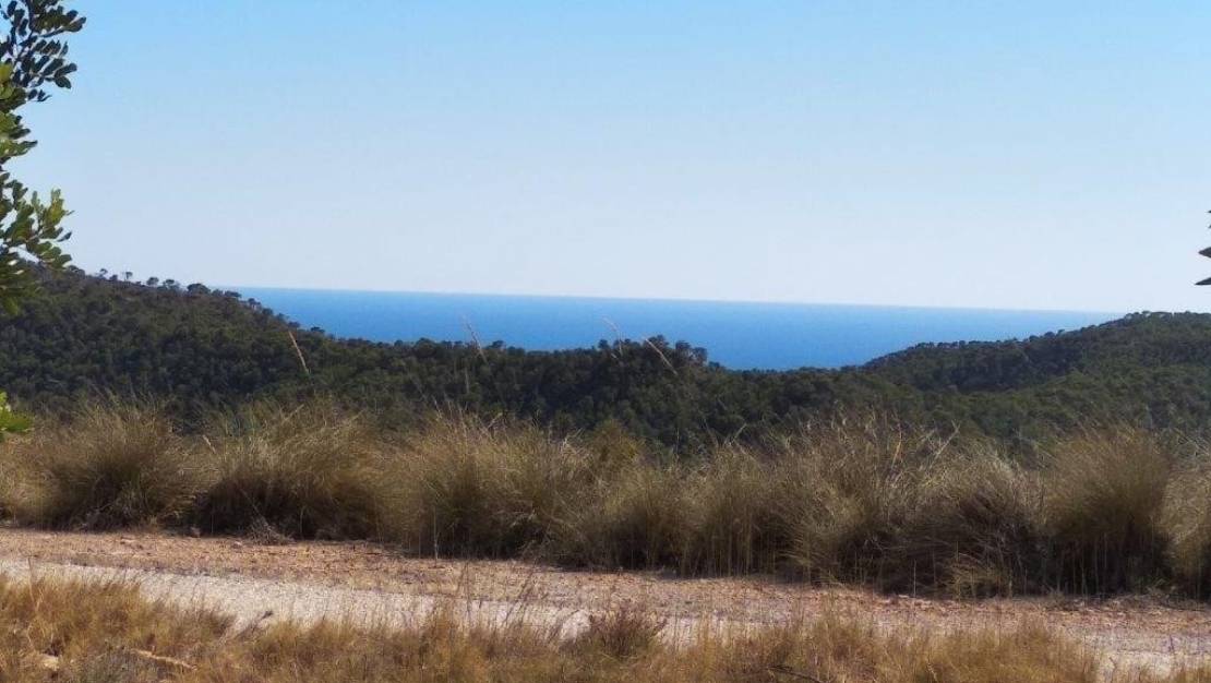 Sale - Land - Relleu - Relleu Centro