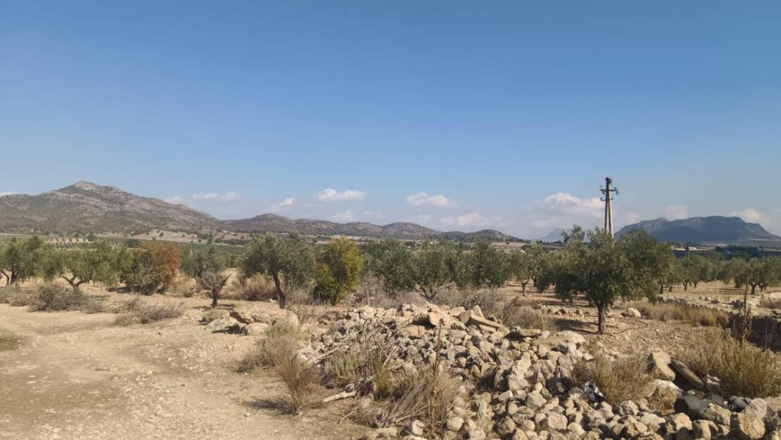 Sale - Land - Salinas - Salinas Centro