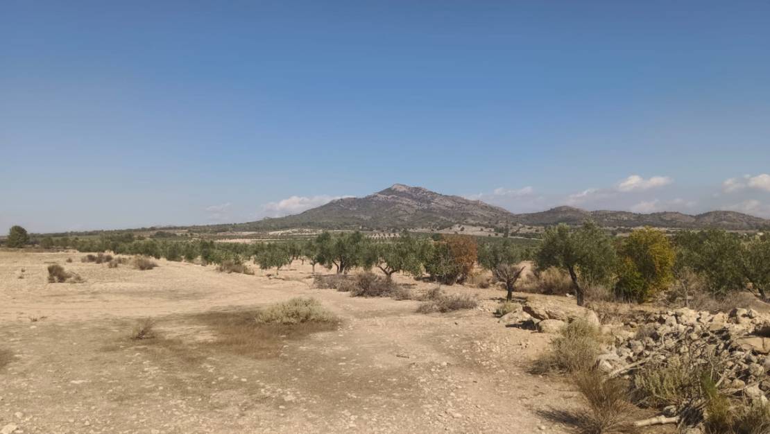 Sale - Land - Salinas - Salinas Centro