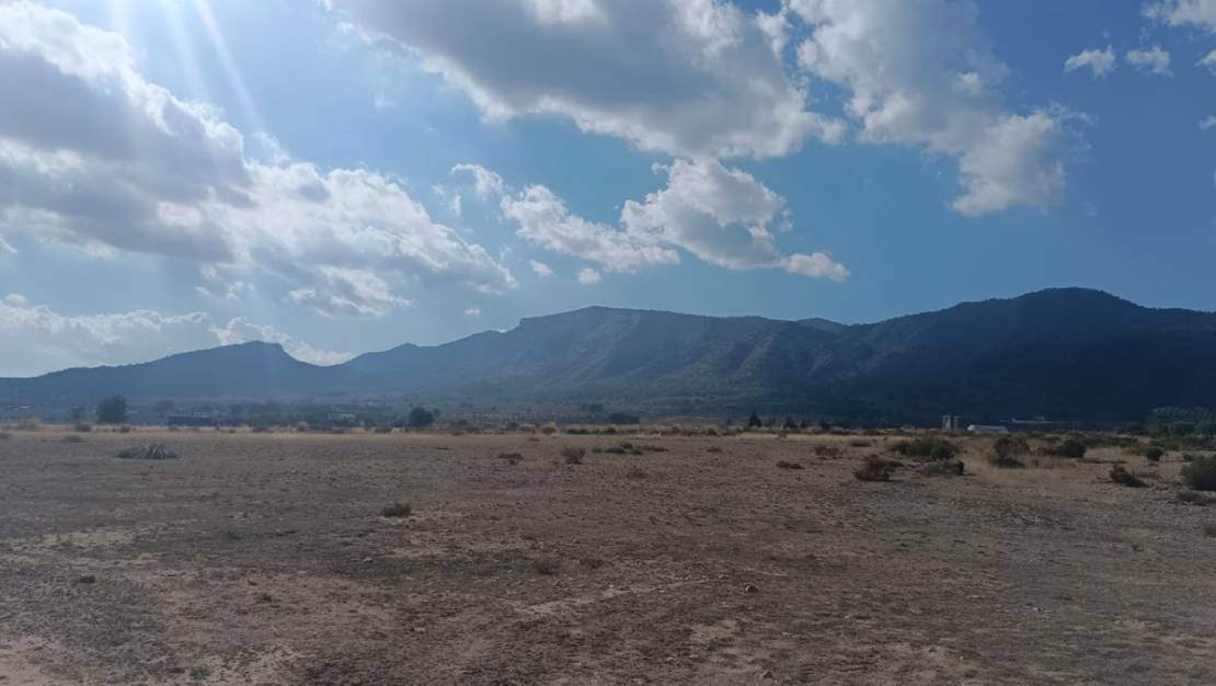 Sale - Land - Salinas - Salinas Centro