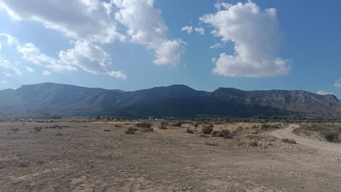 Sale - Land - Salinas - Salinas Centro